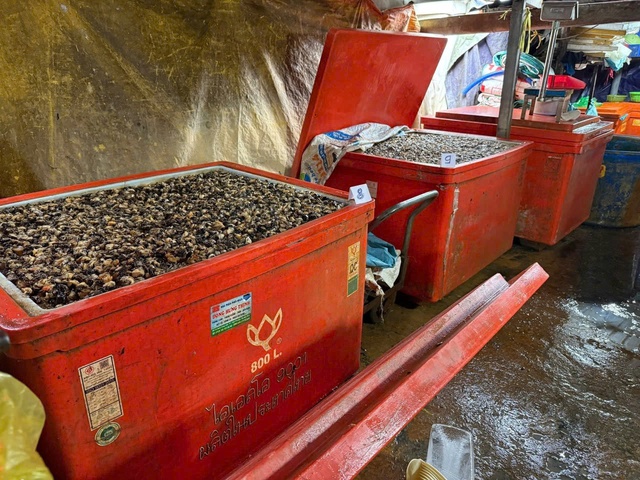 Đột kích cơ sở làm thực phẩm bẩn: Cơ quan chức năng phát hiện 3 tấn thịt ốc bươu đang được ngâm tẩm hóa chất chuyên dùng xây dựng, sản xuất gạch, xi măng - Ảnh 4.