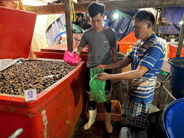 Đột kích cơ sở làm thực phẩm bẩn: Cơ quan chức năng phát hiện 3 tấn thịt ốc bươu đang được ngâm tẩm hóa chất chuyên dùng xây dựng, sản xuất gạch, xi măng - Ảnh 3.