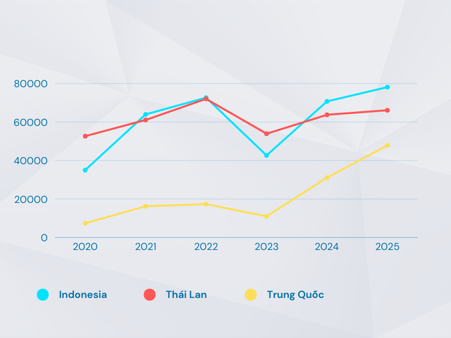 Kỷ lục hơn 200.000 xe nhập khẩu: Trung Quốc đã làm gì để vượt mặt cả Thái Lan và Indonesia ‘thu lời’ 1,6 tỷ USD từ việc bán xe cho Việt Nam - Ảnh 3.