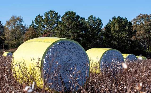 Việt Nam sở hữu một mỏ vàng vừa thu về gần 40 tỷ USD: Mỹ liên tục săn lùng, nước ta là ‘trùm’ đứng thứ 3 thế giới  - Ảnh 1.