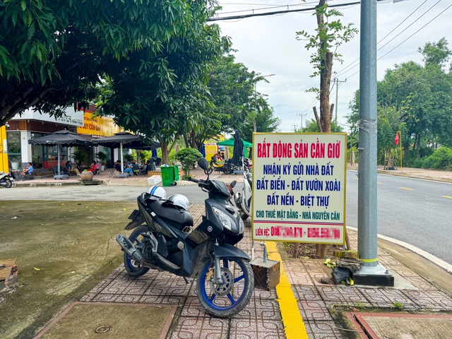 Thị trường nhà ở TP.HCM bùng nổ giao dịch vào cuối năm, động lực chính đến từ KĐT lấn biển Cần Giờ của tỷ phú Phạm Nhật Vượng - Ảnh 2.