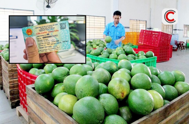 Cục Thuế nói rõ việc yêu cầu người bán hàng phải cung cấp CCCD để kê khai
- Ảnh 1.