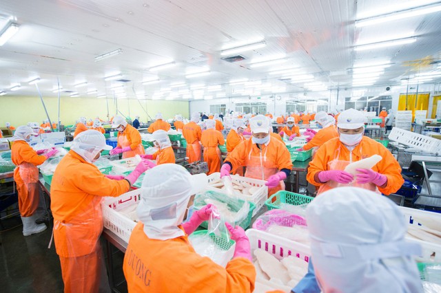 Nam Việt chia cổ tức bằng tiền mặt tỷ lệ 10% - Ảnh 1.