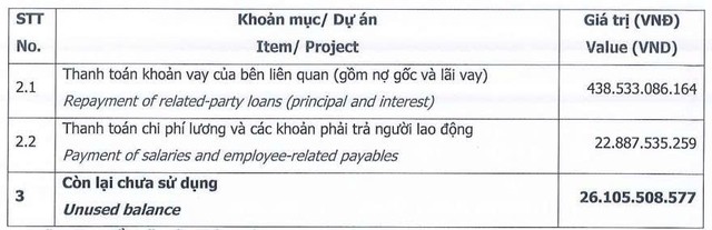 Novaland chưa giải ngân xong vốn huy động từ đợt chào bán ESOP năm 2025 - Ảnh 1.
