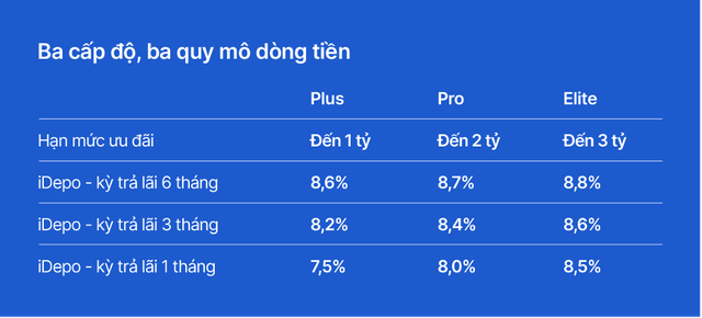 Cách VIB Up nâng hạng một hành trình tài chính nhiều nhu cầu cho khách hàng - Ảnh 2.