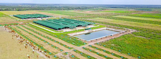 Vì sao Thaco Agri bị xử phạt? - Ảnh 1.