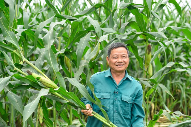 Từ nhà máy đến cộng đồng: Khi phát triển bền vững không dừng lại sau cánh cổng - Ảnh 5.