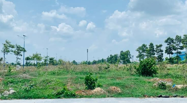 BĐS Thành Ngân bị thu hồi gần 9.300m2 đất do vi phạm nghĩa vụ tài chính - Ảnh 1.