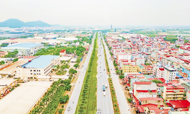 Bắc Ninh đấu giá hơn 3.300m2 đất làm Khu nhà ở Tổ dân phố Giang Liễu - Ảnh 1.