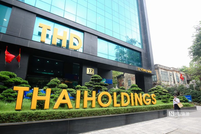Thaiholdings muốn mua thêm cổ phần Thaigroup - Ảnh 1.