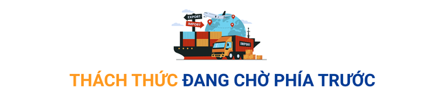 (Mùng 1 Tết) Xuất nhập khẩu hướng mốc 1.000 tỷ USD: Động lực mới từ chuỗi cung ứng và “cuộc chơi bán hàng” toàn cầu - Ảnh 6.
