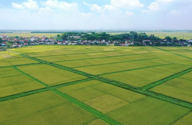 Quy định tính tiền sử dụng đất đối với hộ gia đình, cá nhân khi chuyển từ đất nông nghiệp sang đất ở năm 2026 - Ảnh 1.