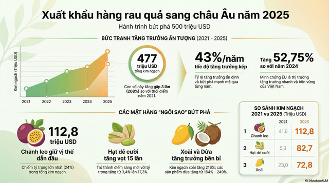 Việt Nam vừa đón tin vui gần 500 triệu USD từ châu Âu - Ảnh 2.