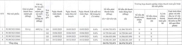 Điện Gió Phong Liệu thanh toán gần 59 tỷ đồng lãi trái phiếu trong năm 2025 - Ảnh 1.