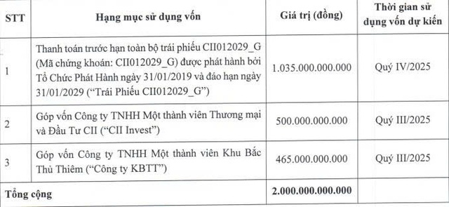 CII chưa dùng hết vốn huy động từ chào bán 20 triệu trái phiếu chuyển đổi - Ảnh 1.