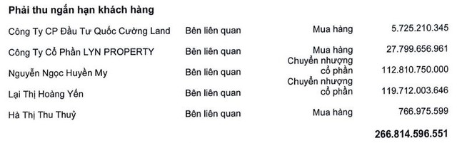 Quốc Cường Gia Lai báo lãi tăng gấp đôi, bán vốn công ty liên kết cho người nhà lãnh đạo - Ảnh 1.