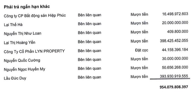 Quốc Cường Gia Lai báo lãi tăng gấp đôi, bán vốn công ty liên kết cho người nhà lãnh đạo - Ảnh 2.