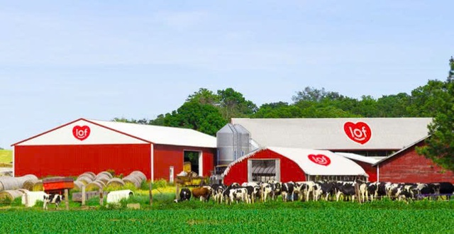 Sữa Quốc tế Lof chốt ngày tham dự ĐHĐCĐ thường niên năm 2026- Ảnh 1.