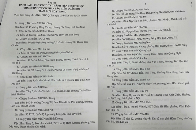 Một doanh nghiệp bảo hiểm lớn chấm dứt hoạt động 23 công ty thành viên  - Ảnh 1.