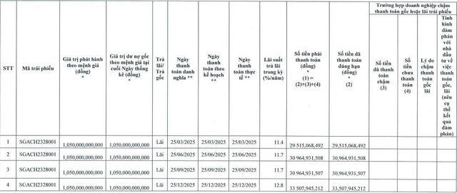Bất động sản Sài Gòn Anpha thanh toán gần 125 tỷ đồng lãi trái phiếu trong 2025 - Ảnh 1.
