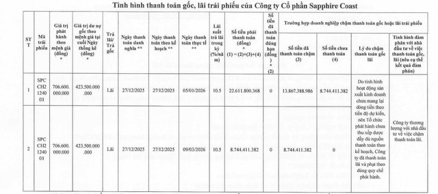 Chủ đầu tư dự án Sapphire Coast thanh toán lãi trái phiếu - Ảnh 1.