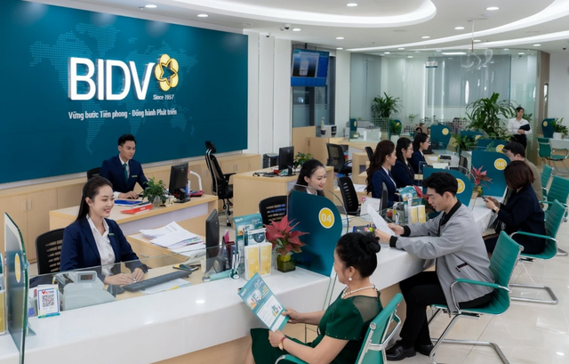 BIDV lên kế hoạch chào bán cổ phiếu riêng lẻ - Ảnh 1.
