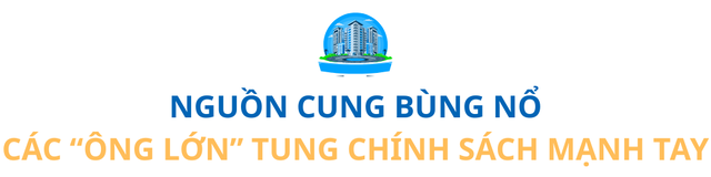 Cuộc đua bán bất động sản khốc liệt, lộ diện những ông lớn đang thâu tóm tâm lý khách mua- Ảnh 1.