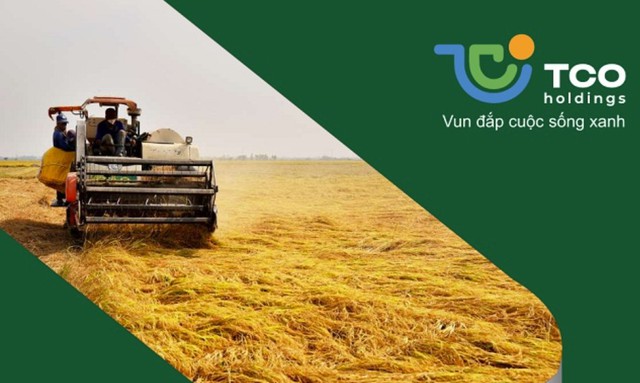 TCO Holdings muốn đầu tư vào Pacific Lines - Ảnh 1.