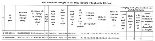 REE thanh toán hơn 163 tỷ đồng lãi cho lô trái phiếu phát hành từ năm 2019 - Ảnh 1.