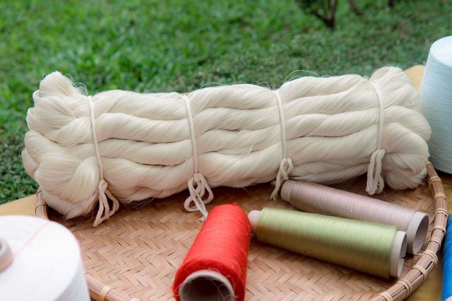 Một công ty tơ tằm bị phạt vì chậm công bố thông tin - Ảnh 1.