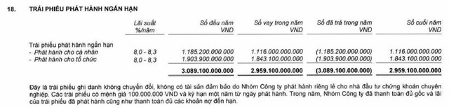Chứng khoán Rồng Việt sắp phát hành 300 tỷ đồng trái phiếu để cơ cấu nợ - Ảnh 1.