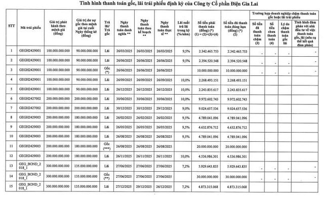 Điện Gia Lai thanh toán hơn 117 tỷ đồng gốc, lãi trái phiếu trong năm 2025 - Ảnh 1.