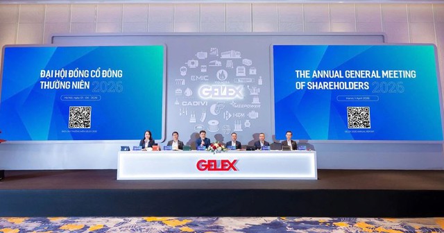 Gelex không tham gia điều hành Eximbank, có thể nâng tỷ lệ sở hữu - Ảnh 1.