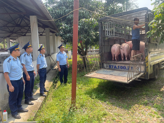 Mở nhiều đợt truy quét đột xuất: Tiếp tục phát hiện loạt sai phạm nghiêm trọng của các hộ kinh doanh, hàng nghìn sản phẩm bị tạm giữ, tiêu hủy - Ảnh 2.