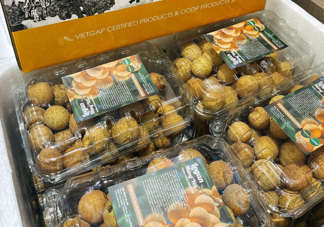 Loại quả bán đầy chợ Việt giá 15.000 đồng: Sang châu Âu hóa "hàng hiệu" 600.000 đồng/kg, thu chục triệu USD  - Ảnh 2.