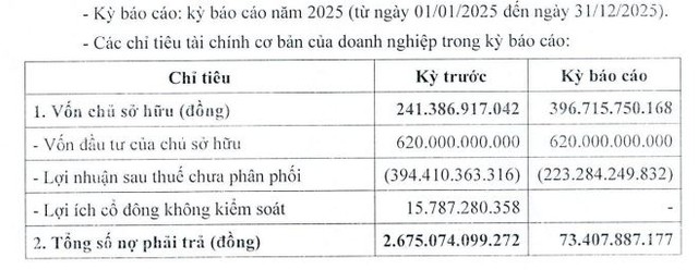 Du lịch Sài Gòn - Lâm Đồng báo lãi tăng vọt, giảm mạnh nợ vay - Ảnh 1.
