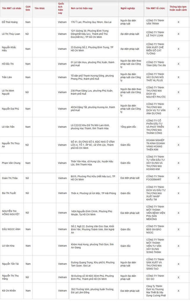 Cục Thuế thông báo: Một loạt Giám đốc có tên sau ở TP.HCM, Thanh Hóa, Huế, Hải Phòng… bị tạm hoãn xuất cảnh - Ảnh 2.