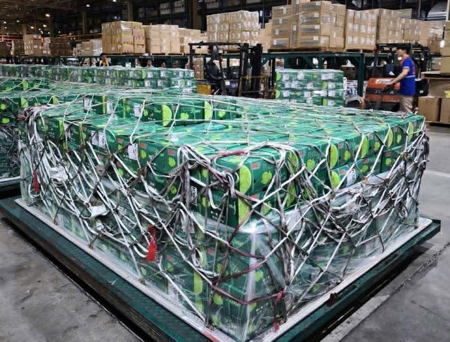 Việt Nam đón tín hiệu cực vui từ UAE: Lần đầu tiên siêu tập đoàn 8 tỷ USD thuê máy bay chở 100 tấn rau quả Việt  - Ảnh 1.