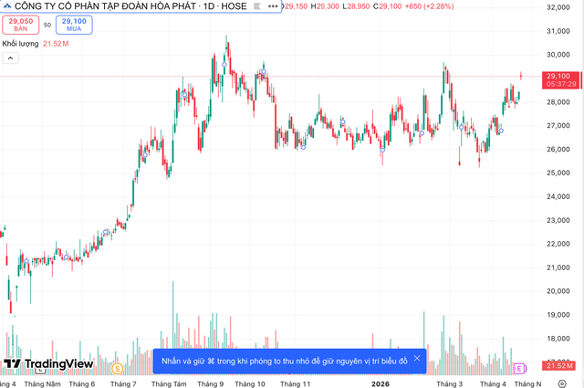 Tỷ phú Trần Đình Long: Tôi không bao giờ khuyên cổ đông mua bán cổ phiếu Hòa Phát - Ảnh 2.