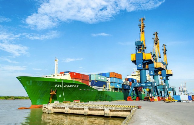 Quỹ Leadvisors trở thành cổ đông lớn của Viconship - Ảnh 1.