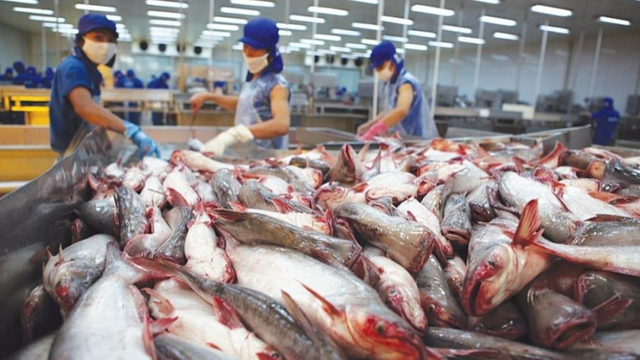 Một đặc sản Việt đang 'đổi vận' nhờ sức mua khủng từ nước láng giềng: Thu về hơn 500 triệu USD trong quý I  - Ảnh 3.