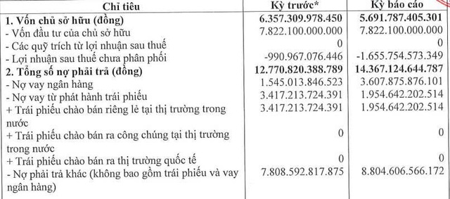 Một công ty con của Novaland lỗ lũy kế hơn 1.655 tỷ đồng - Ảnh 1.