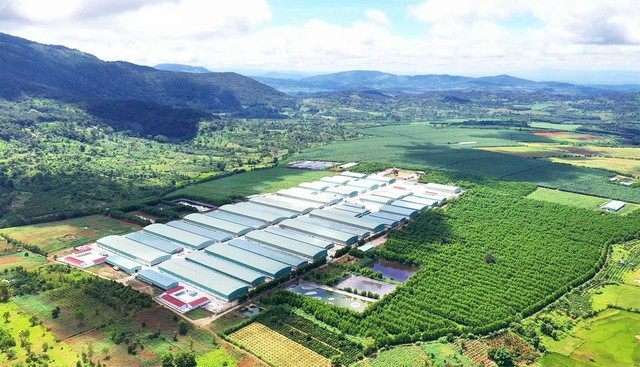 Ngân hàng đồng hành thúc đẩy kinh tế địa phương, ưu tiên phát triển bền vững - Ảnh 1.