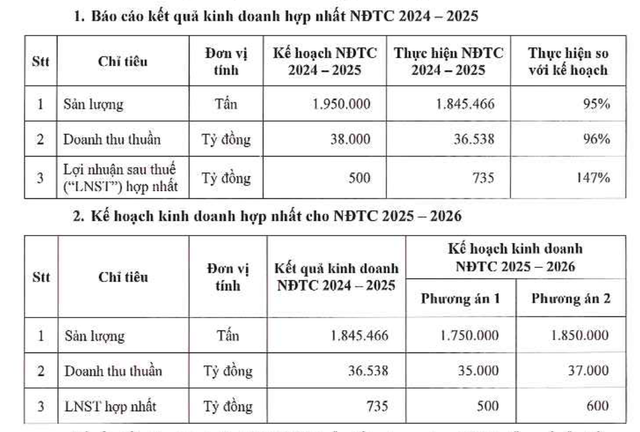 Hoa Sen Group chốt ngày phát hành hơn 186 triệu cổ phiếu trả cổ tức - Ảnh 2.