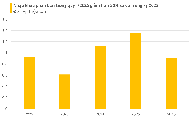 Căng thẳng Trung Đông: Phân bón tăng sốc, có loại vượt 1,1 triệu/bao, nông sản lại lao dốc, chuyện gì đang xảy ra? - Ảnh 4.