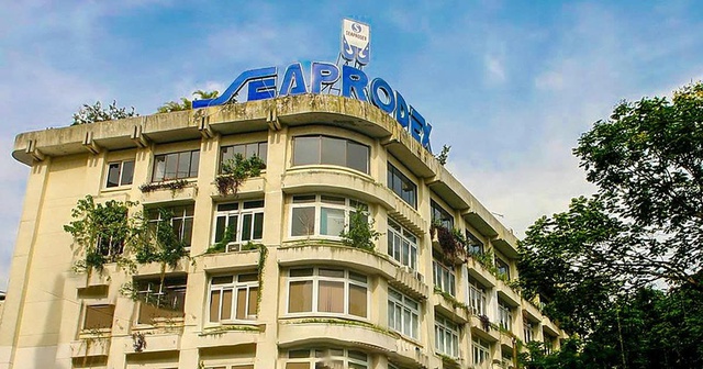 Seaprodex không đáp ứng điều kiện công ty đại chúng - Ảnh 1.