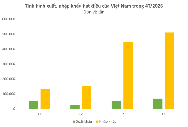 Nghịch lý tỷ USD nhập khẩu hạt điều: Việt Nam đang bước vào kỷ nguyên "Đế chế thương mại" toàn cầu? - Ảnh 2.