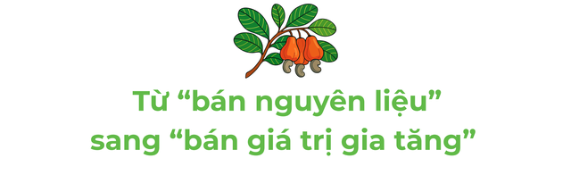 Nghịch lý tỷ USD nhập khẩu hạt điều: Việt Nam đang bước vào kỷ nguyên "Đế chế thương mại" toàn cầu? - Ảnh 3.