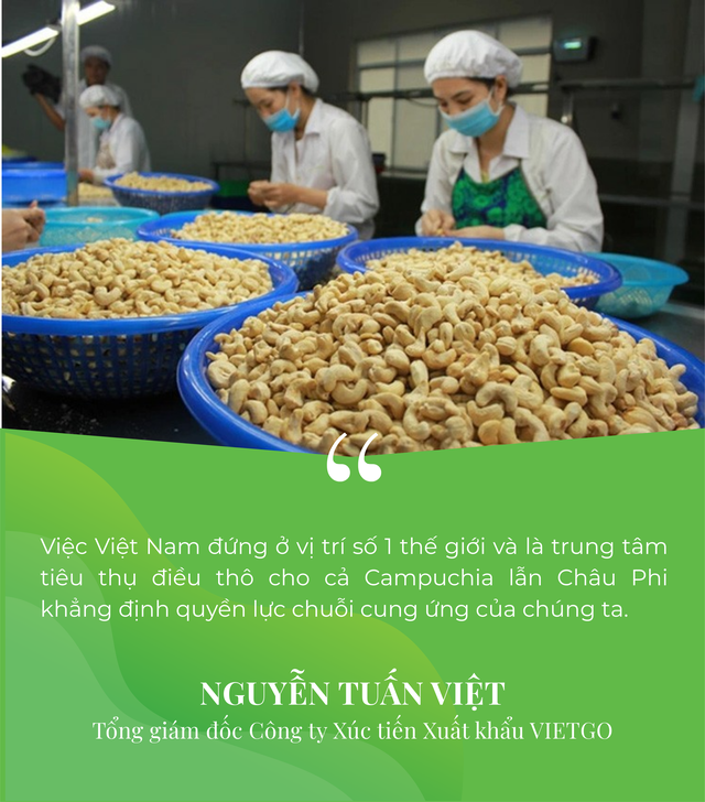 Nghịch lý tỷ USD nhập khẩu hạt điều: Việt Nam đang bước vào kỷ nguyên "Đế chế thương mại" toàn cầu? - Ảnh 6.