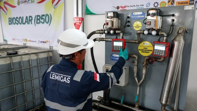 Cơn khát năng lượng và bài toán an ninh lương thực tại Đông Nam Á - Ảnh 3.